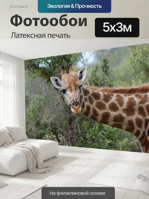 500 × 300 см · Латексная печать