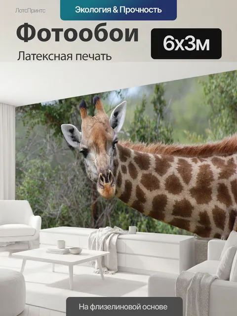 600 × 300 см · Латексная печать