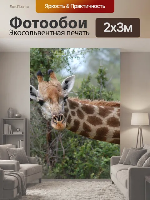 200 × 300 см · Экосольвентная печать