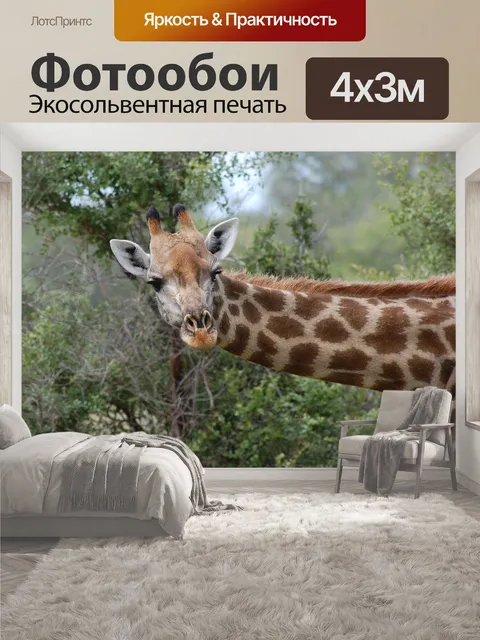 400 × 300 см · Экосольвентная печать