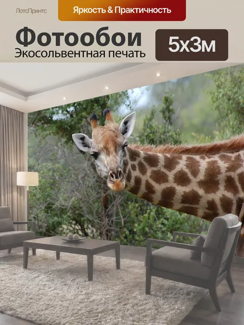 500 × 300 см · Экосольвентная печать