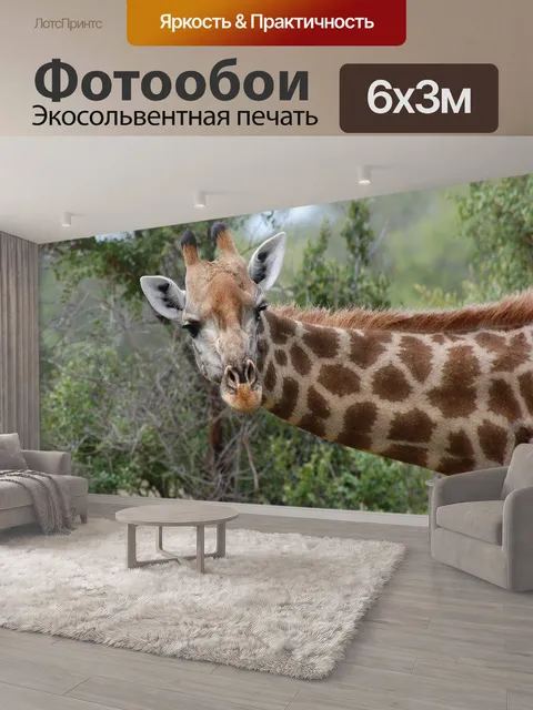 600 × 300 см · Экосольвентная печать