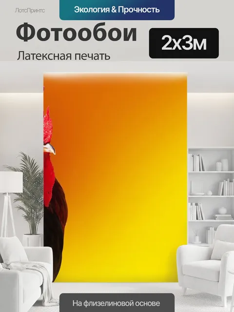 200 × 300 см · Латексная печать