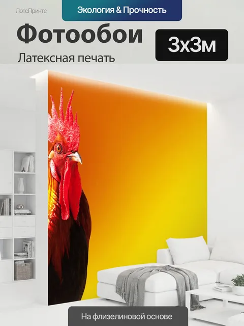 300 × 300 см · Латексная печать