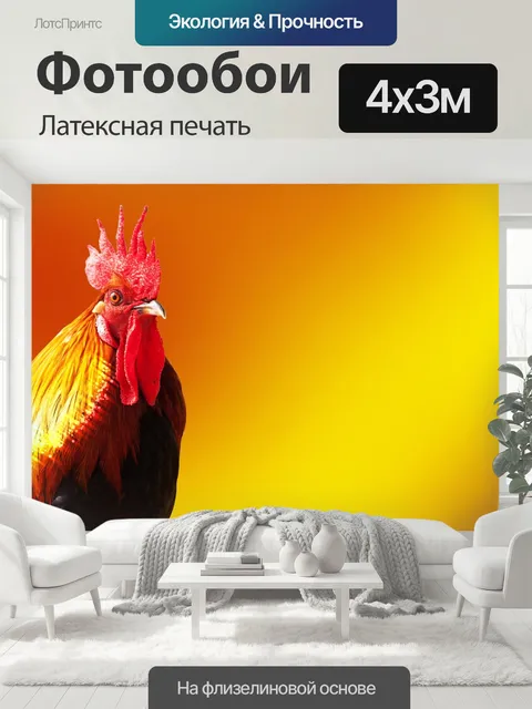 400 × 300 см · Латексная печать
