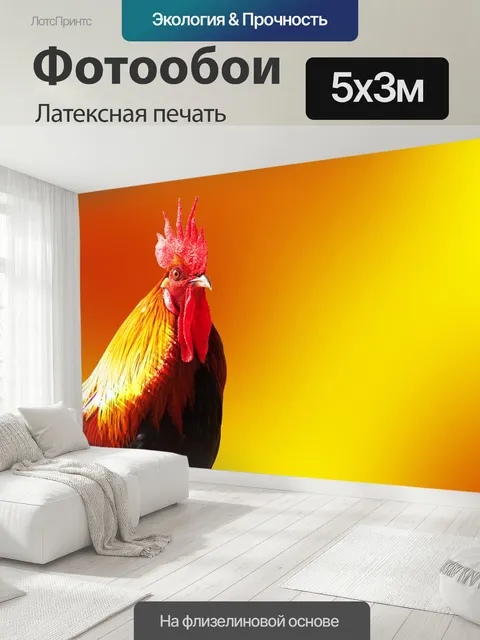 500 × 300 см · Латексная печать