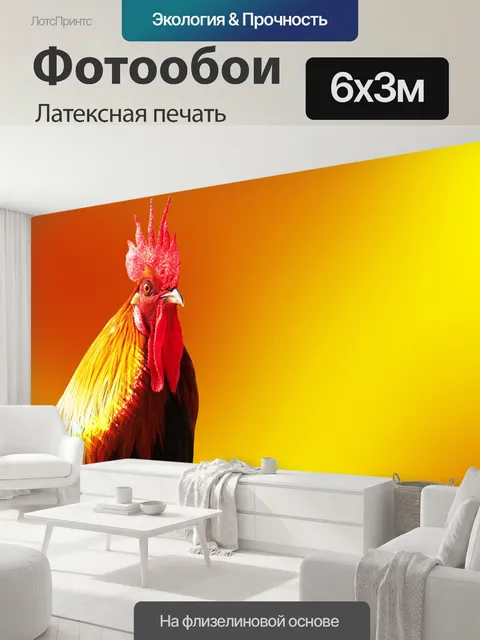600 × 300 см · Латексная печать