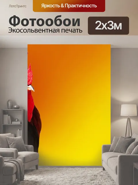 200 × 300 см · Экосольвентная печать