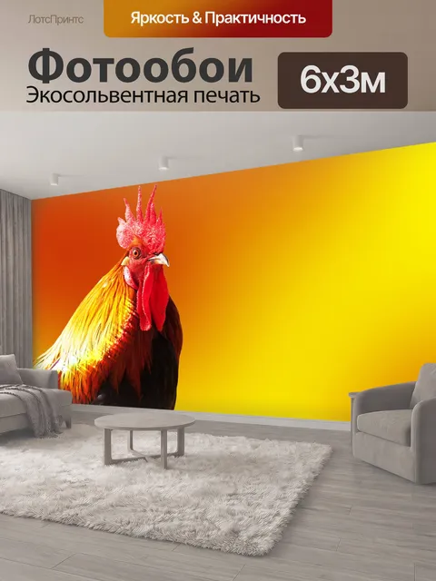 600 × 300 см · Экосольвентная печать