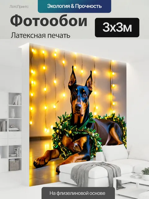 300 × 300 см · Латексная печать