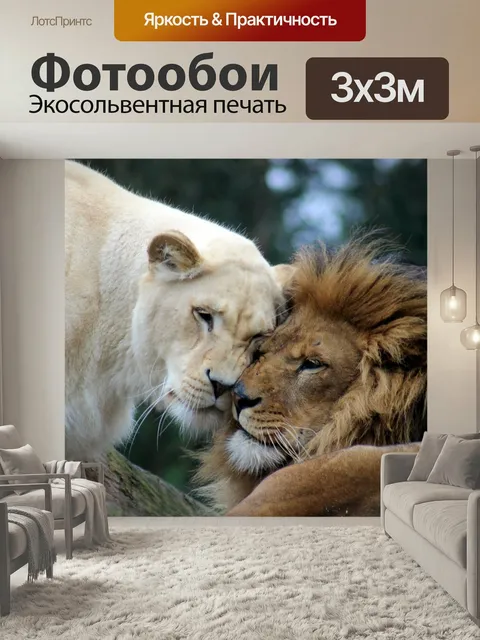 Фотообои Лев, львица, большой кот