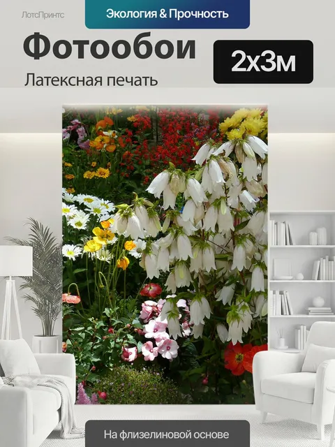 200 × 300 см · Латексная печать