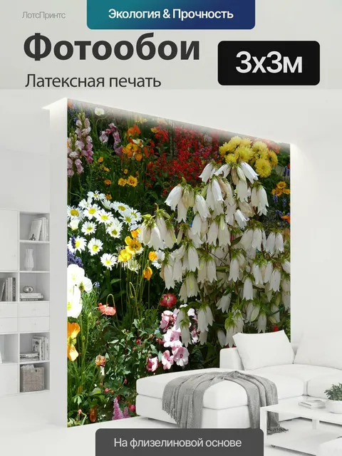 300 × 300 см · Латексная печать