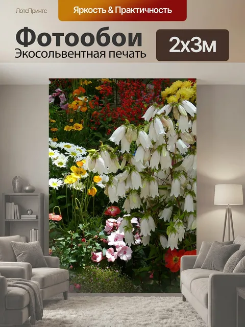 200 × 300 см · Экосольвентная печать