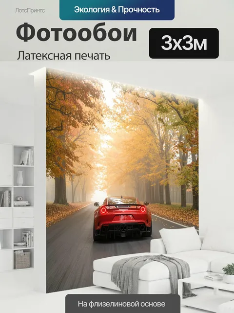 300 × 300 см · Латексная печать