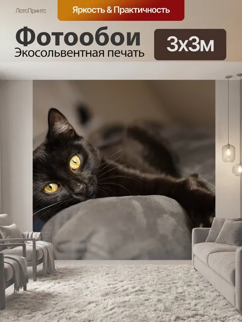 Фотообои Кошка, черный кот, золотые глаза