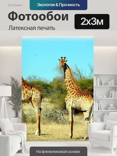 200 × 300 см · Латексная печать