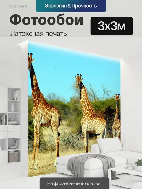 300 × 300 см · Латексная печать