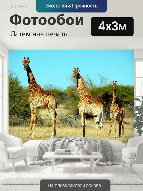400 × 300 см · Латексная печать