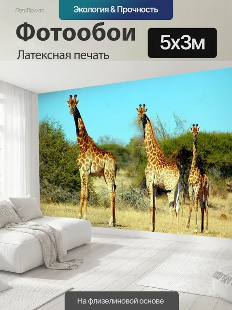 500 × 300 см · Латексная печать