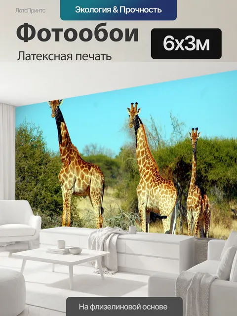 600 × 300 см · Латексная печать