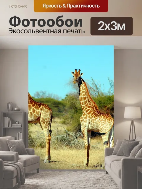 200 × 300 см · Экосольвентная печать