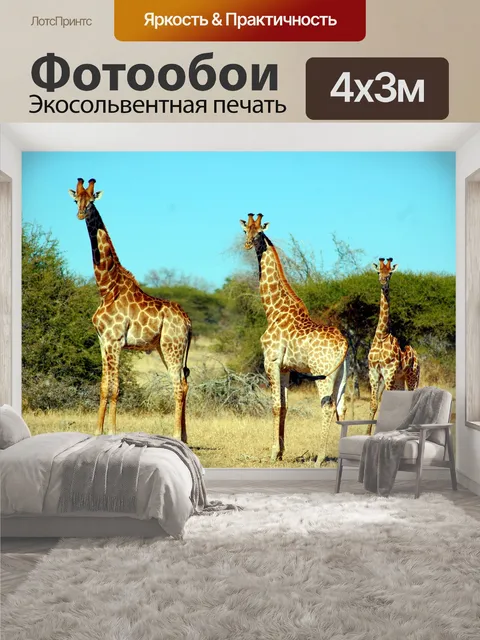 400 × 300 см · Экосольвентная печать