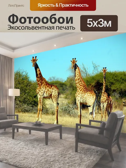 500 × 300 см · Экосольвентная печать