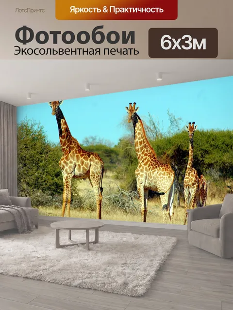 600 × 300 см · Экосольвентная печать