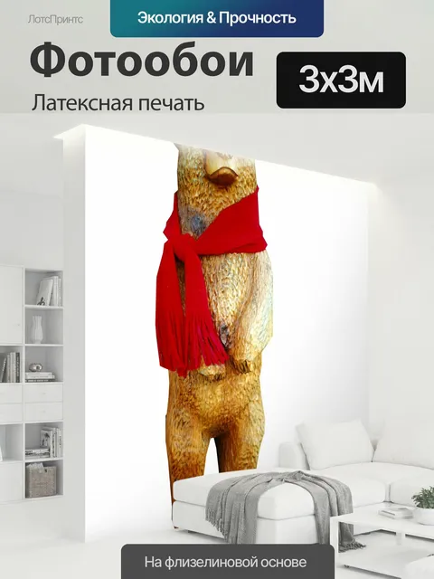 300 × 300 см · Латексная печать