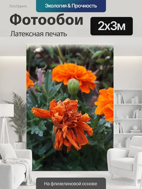 200 × 300 см · Латексная печать