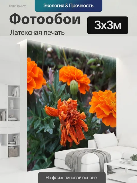300 × 300 см · Латексная печать