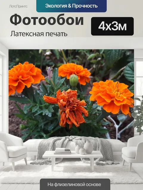 400 × 300 см · Латексная печать