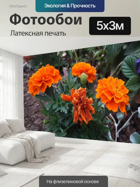 500 × 300 см · Латексная печать