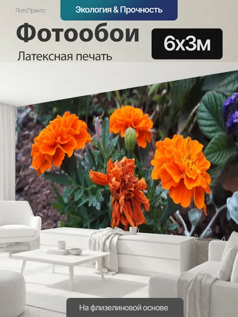 600 × 300 см · Латексная печать