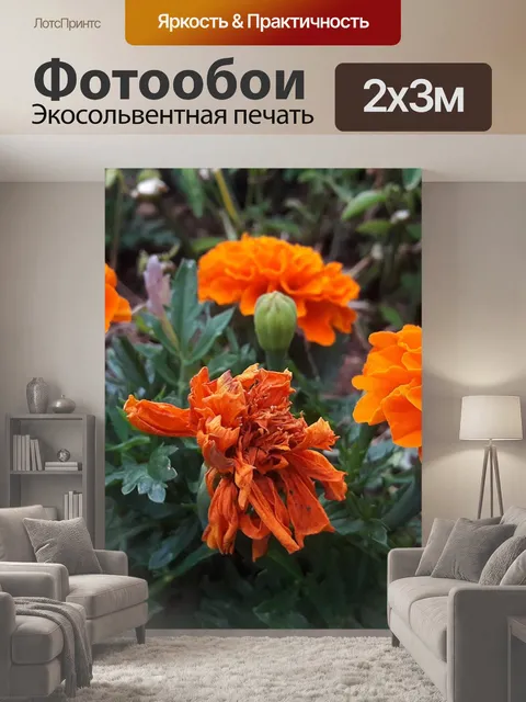 200 × 300 см · Экосольвентная печать