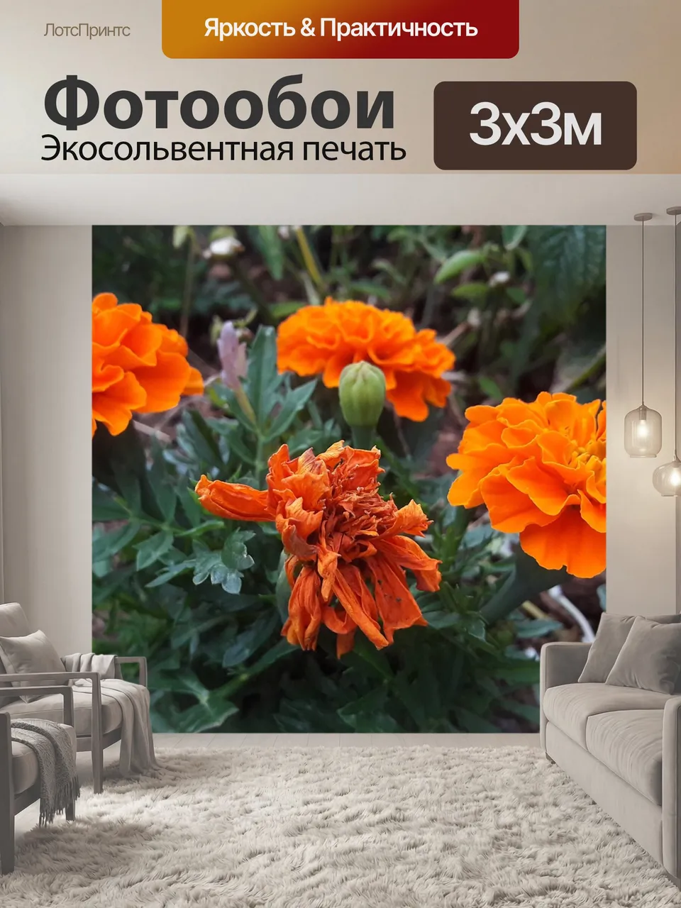 Фотообои Бархатцы, оранжевый, завод