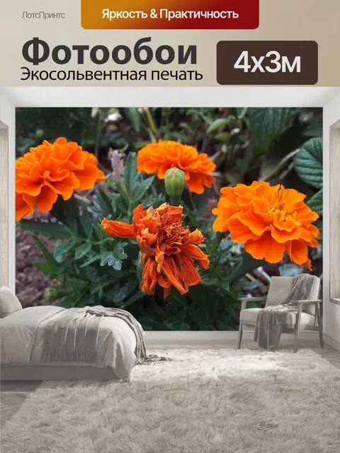 400 × 300 см · Экосольвентная печать