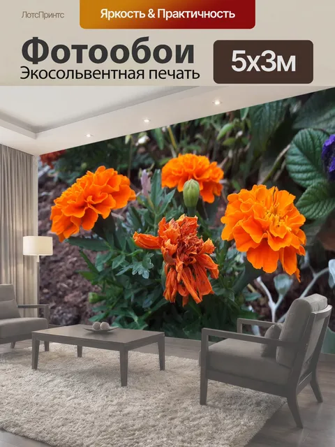 500 × 300 см · Экосольвентная печать