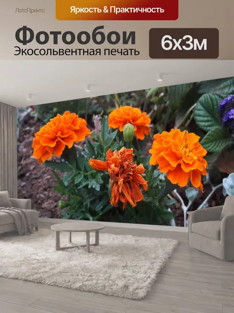 600 × 300 см · Экосольвентная печать