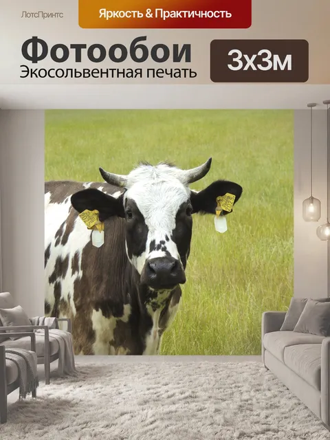 Фотообои Корова, луг, рога