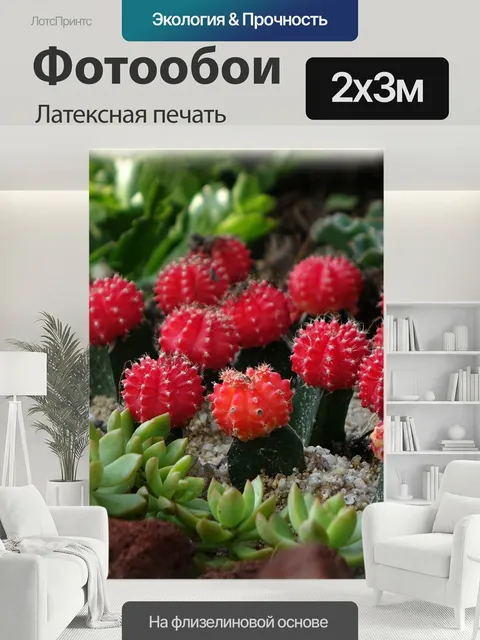 200 × 300 см · Латексная печать