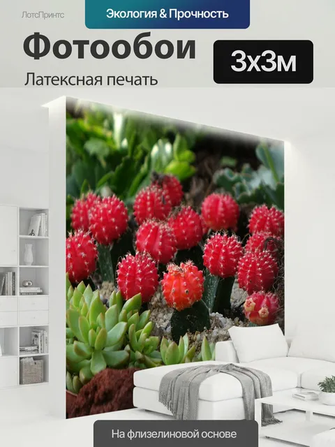 300 × 300 см · Латексная печать