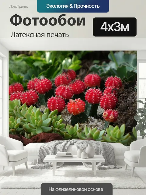 400 × 300 см · Латексная печать