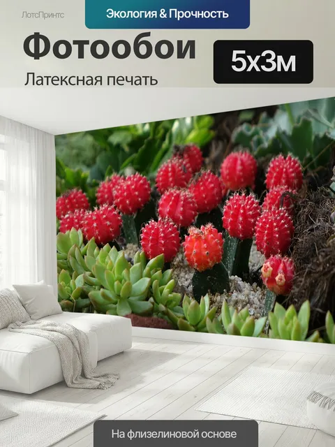 500 × 300 см · Латексная печать