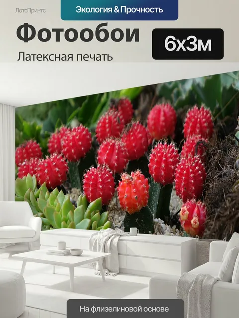 600 × 300 см · Латексная печать