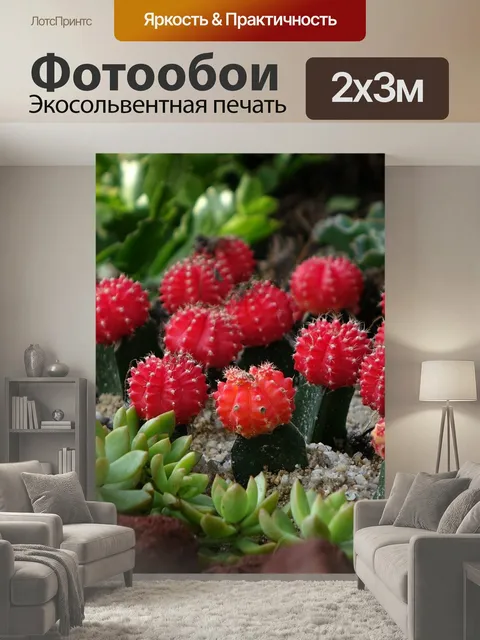 200 × 300 см · Экосольвентная печать