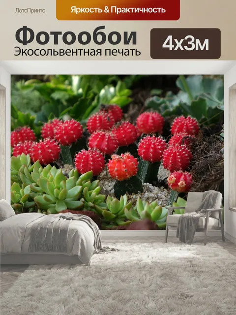 400 × 300 см · Экосольвентная печать