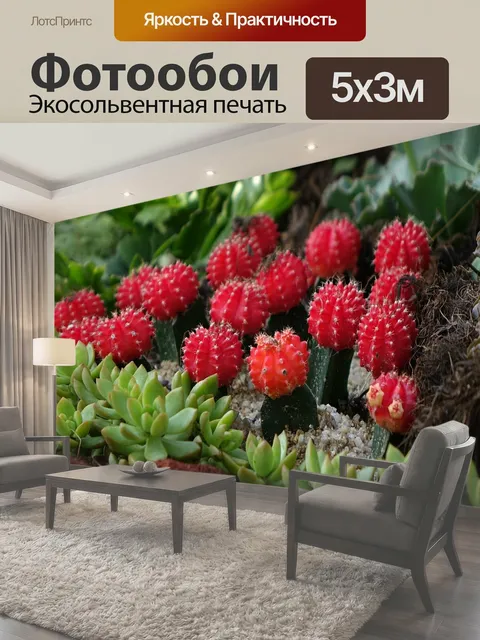 500 × 300 см · Экосольвентная печать