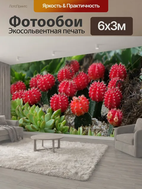 600 × 300 см · Экосольвентная печать